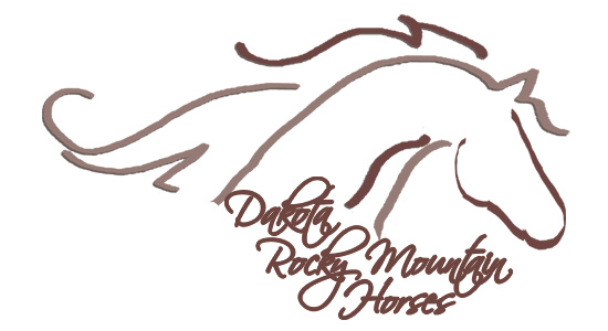 Dakota Rocky Mountain Horses